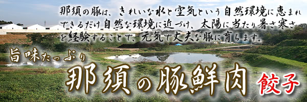 那須の豚　鮮肉餃子